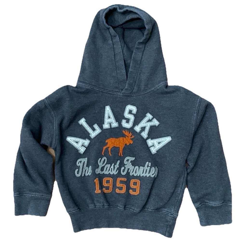 Alaska The Last Frontier 1959 kids hoodie orange moose graphic
Toddler Size 2/4